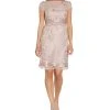 Adrianna Papell Women's Lace Popover Sheath Dress