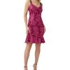 Adrianna Papell Women's Embroidred V-Neck Dress