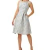 Adrianna Papell Women's Jacquard Embellished Dress
